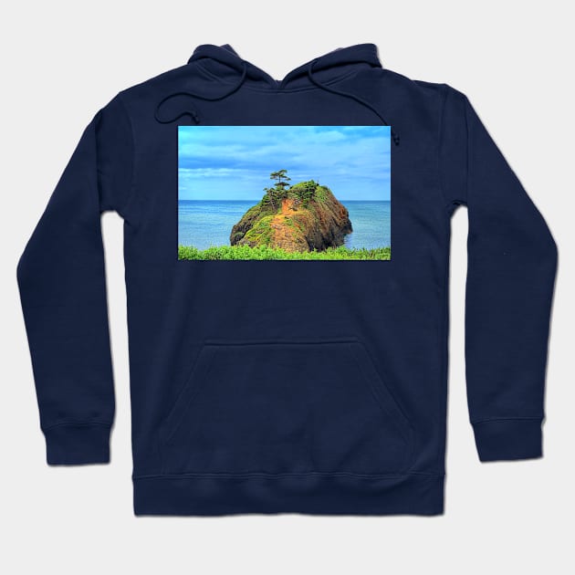 Battle Rock Oregon Coast Hoodie by Burtney